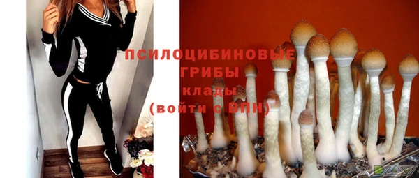 Альфа ПВП Алексин