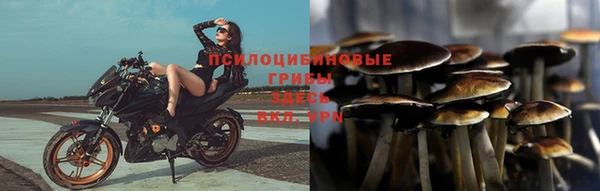 соль ск Алзамай