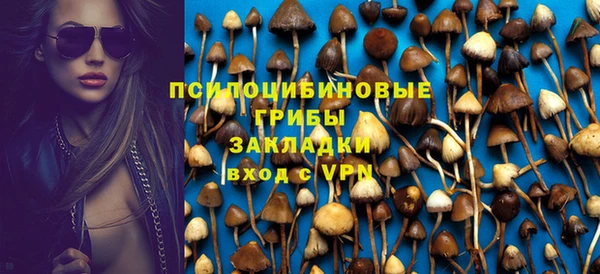 соль ск Алзамай