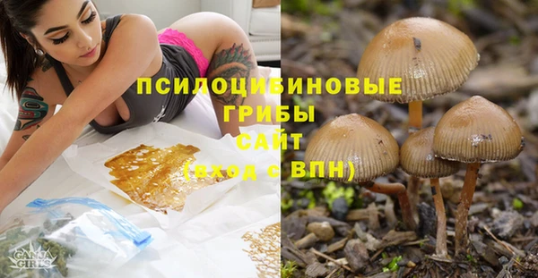 амфетамин Алексеевка